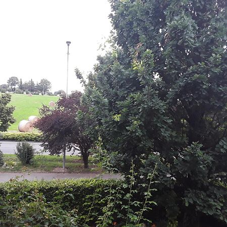B&B La Rosa Gialla Maranello Dış mekan fotoğraf