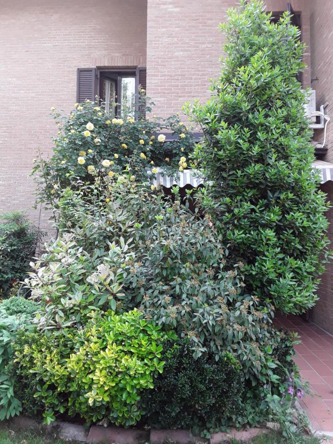 B&B La Rosa Gialla Maranello Dış mekan fotoğraf