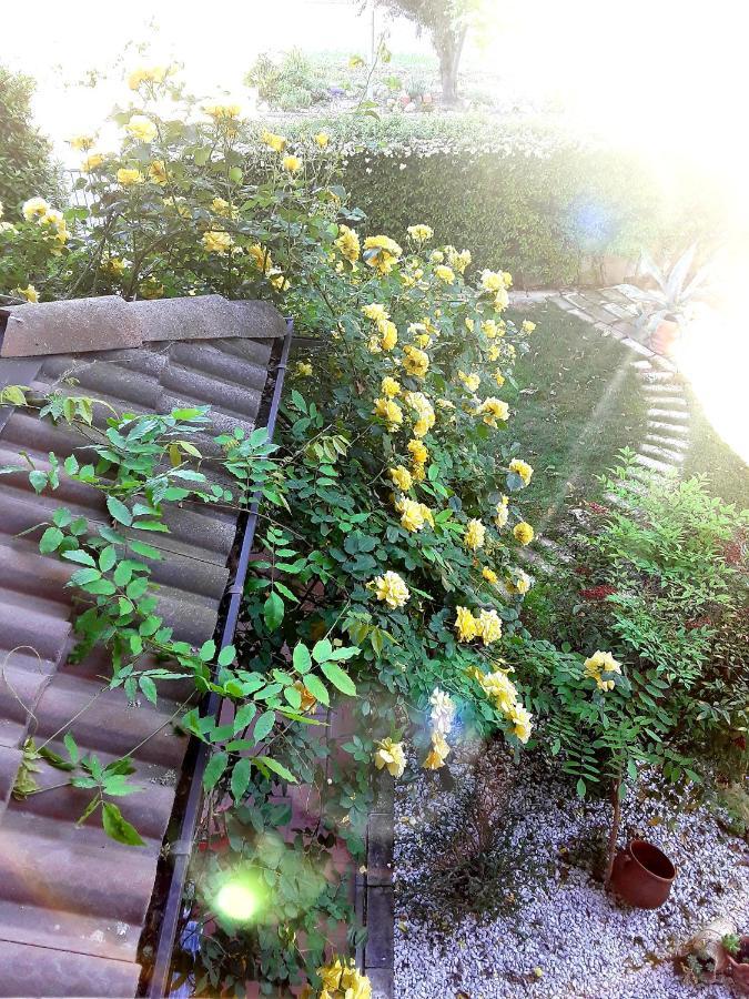 B&B La Rosa Gialla Maranello Dış mekan fotoğraf