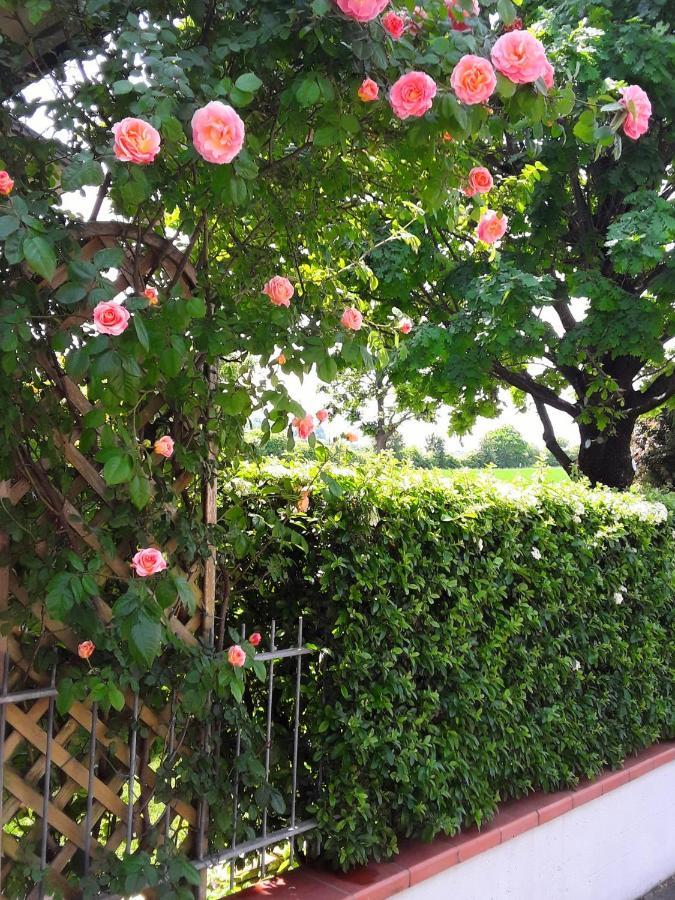B&B La Rosa Gialla Maranello Dış mekan fotoğraf